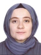 Arş.Gör.Dr. MERVE ERTOSUN YILDIZ