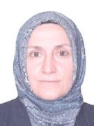 Arş.Gör.Dr. HÜLYA YILDIZ